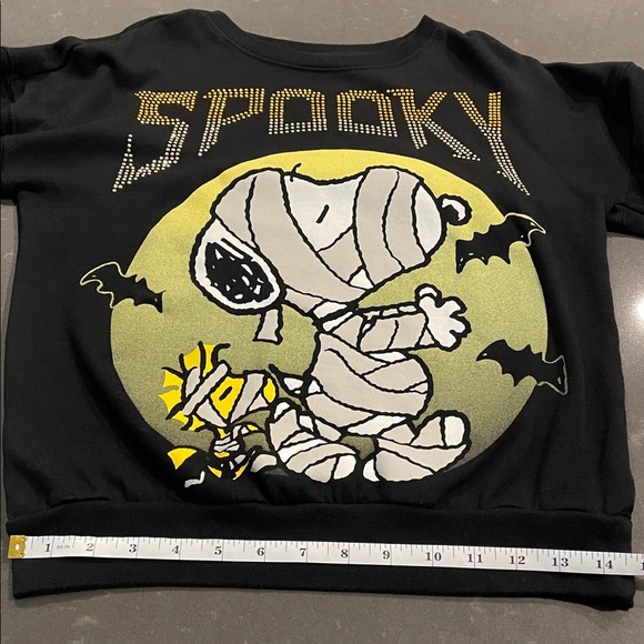 Peanuts Snoopy and Woodstock Halloween Crewneck Sweater Extra Small - Picture 15 of 16